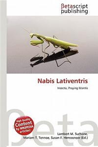 Nabis Lativentris