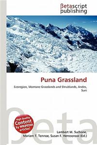 Puna Grassland