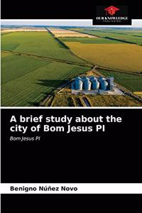 brief study about the city of Bom Jesus PI