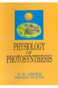 Physiology of Photosynthesis