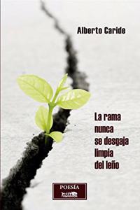 La rama nunca se desgaja limpia del leno