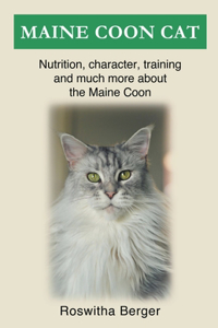 Maine Coon Cat