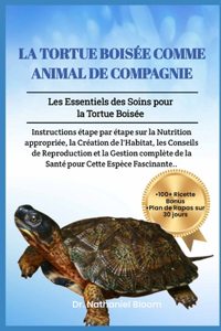 La Tortue Boisée Comme Animal de Compagnie