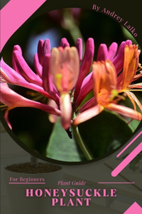 Honeysuckle Plant