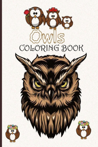 Owls coloring book