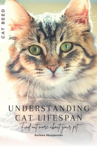 Understanding Cat Lifespan