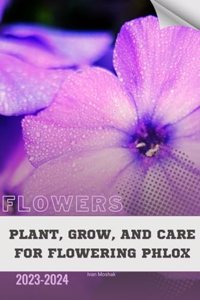Plant, Grow, and Care For Flowering Phlox
