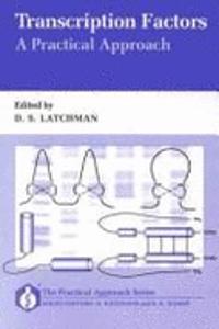 Transcription Factors