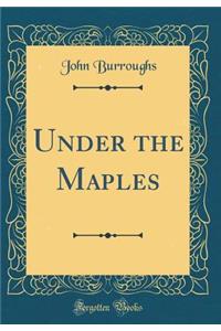 Under the Maples (Classic Reprint)
