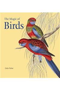 The Magic of Birds