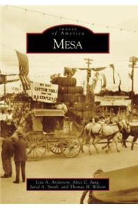 Mesa