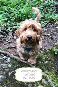 Weekly Diary April 2019 Dec 2020