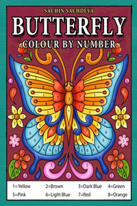 Butterfly Colour by Number
