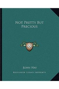 Not Pretty But Precious