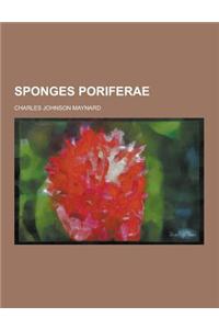 Sponges Poriferae