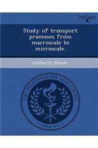 Study of Transport Processes from Macroscale to Microscale