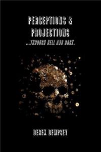 Perceptions and Projections