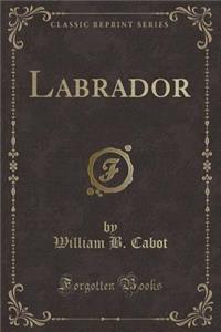 Labrador (Classic Reprint)