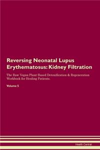 Reversing Neonatal Lupus Erythematosus: Kidney Filtration The Raw Vegan Plant-Based Detoxification & Regeneration Workbook for Healing Patients.Volume 5