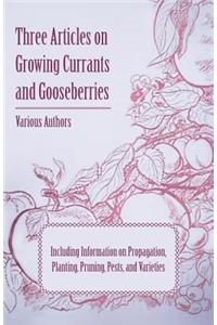 Three Articles on Growing Currants and Gooseberries - Including Information on Propagation, Planting, Pruning, Pests, Varieties