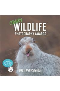 Comedy Wildlife 2021 Wall Calendar