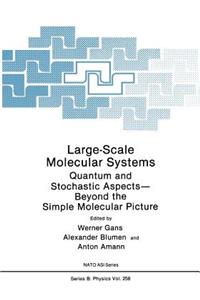 Large-Scale Molecular Systems