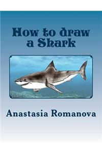 How to draw a Shark
