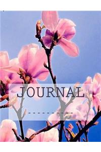 Journal