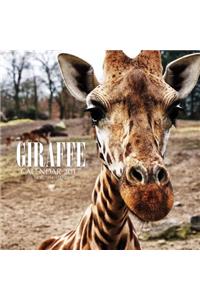 Giraffe Calendar 2017