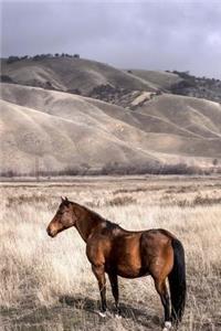 A Beautiful Brown Horse in a Winter Meadow Journal