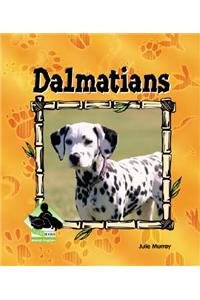 Dalmations