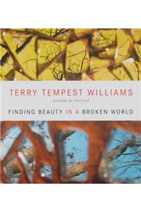 Finding Beauty in a Broken World
