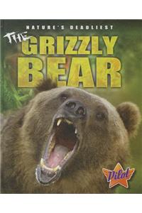 Grizzly Bear