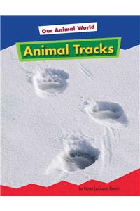 Animal Tracks