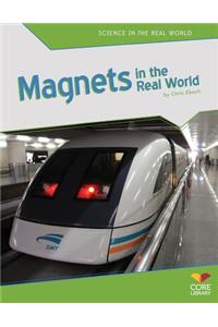 Magnets in the Real World