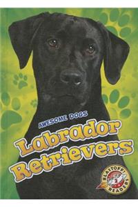 Labrador Retrievers Labrador Retrievers