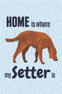 Home is where my Setter is