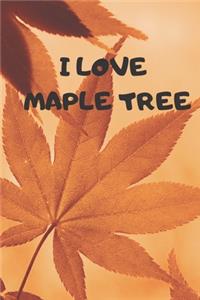 Maple Tree