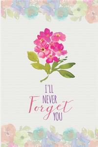 I'll Never Forget You
