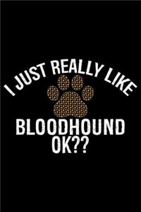 I Just Really Like Bloodhound Ok?