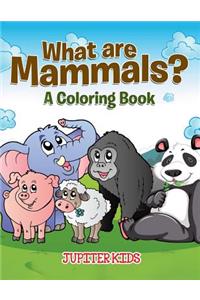 What are Mammals? (A Coloring Book)