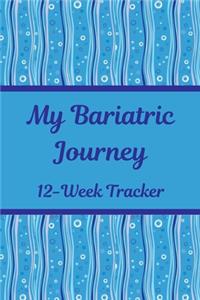 My Bariatric Journey