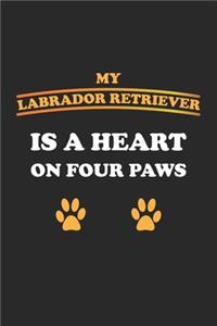 My Labrador Retriever is a heart on four paws