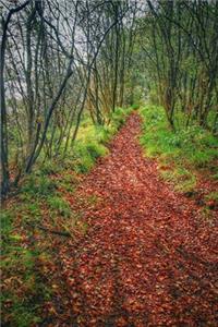 My Morning Walk in an Autumn Wood Journal