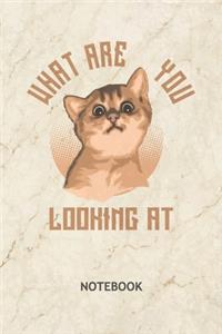 What Are You Looking At