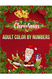 Christmas Adult Color By Numbers