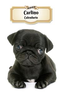 2020 Carlino Calendario