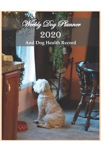 Weekly Dog Planner 2020 And Dog Health Record