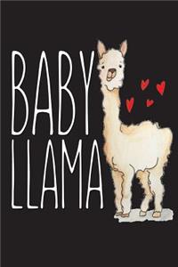 Baby Llama