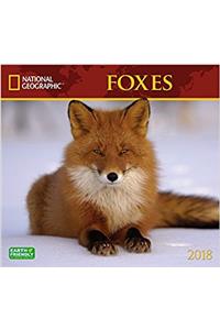 National Geographic Foxes 2018 Wall Calendar